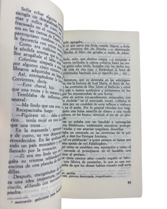 El juguete rabioso - Roberto