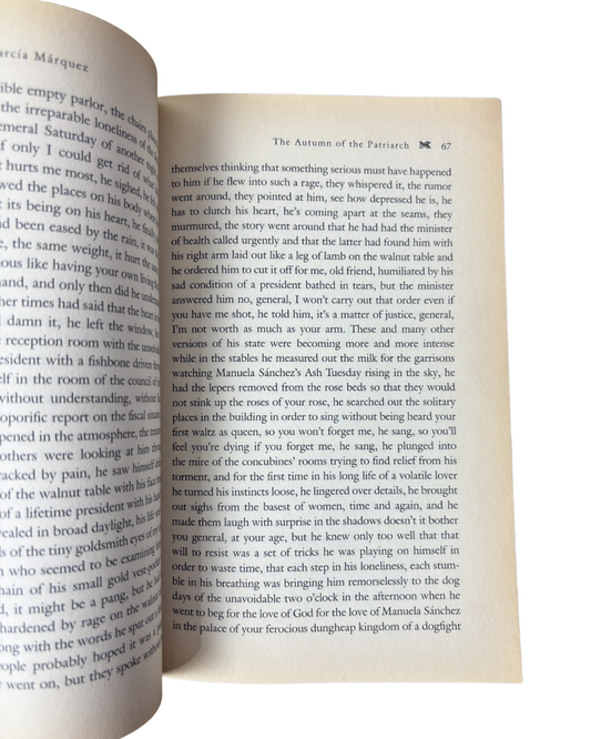 The autumn of the patriarch - Gabriel Garcia Marquez