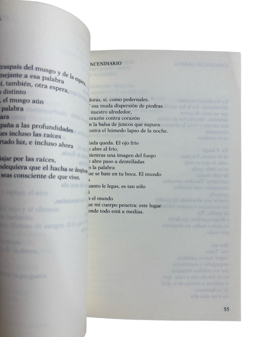 Pista de despegue - Paul Auster