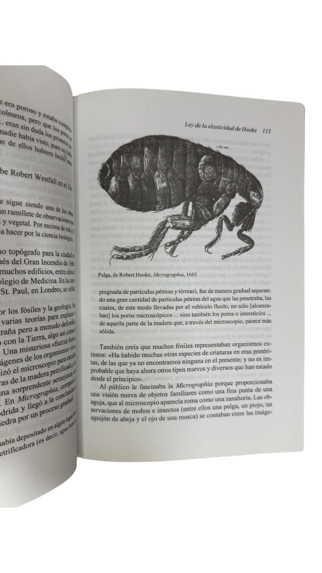De Arquímedes a Hawking, Clifford A. Pickover