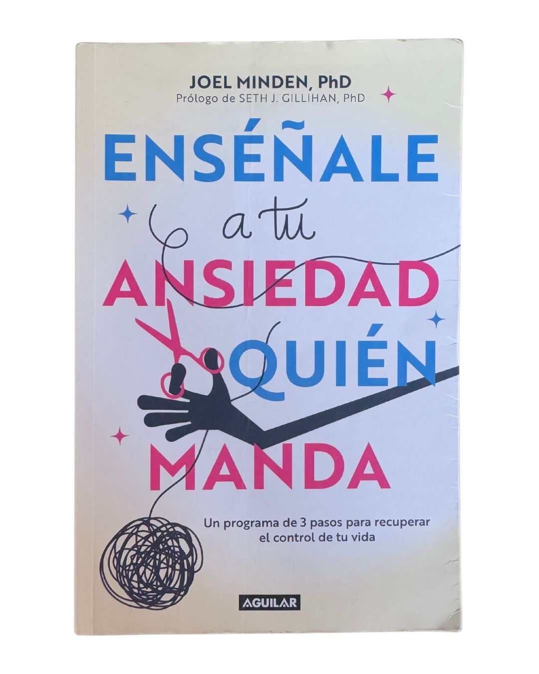 EnseÑale A Tu Ansiedad Quien Manda Joel Minden