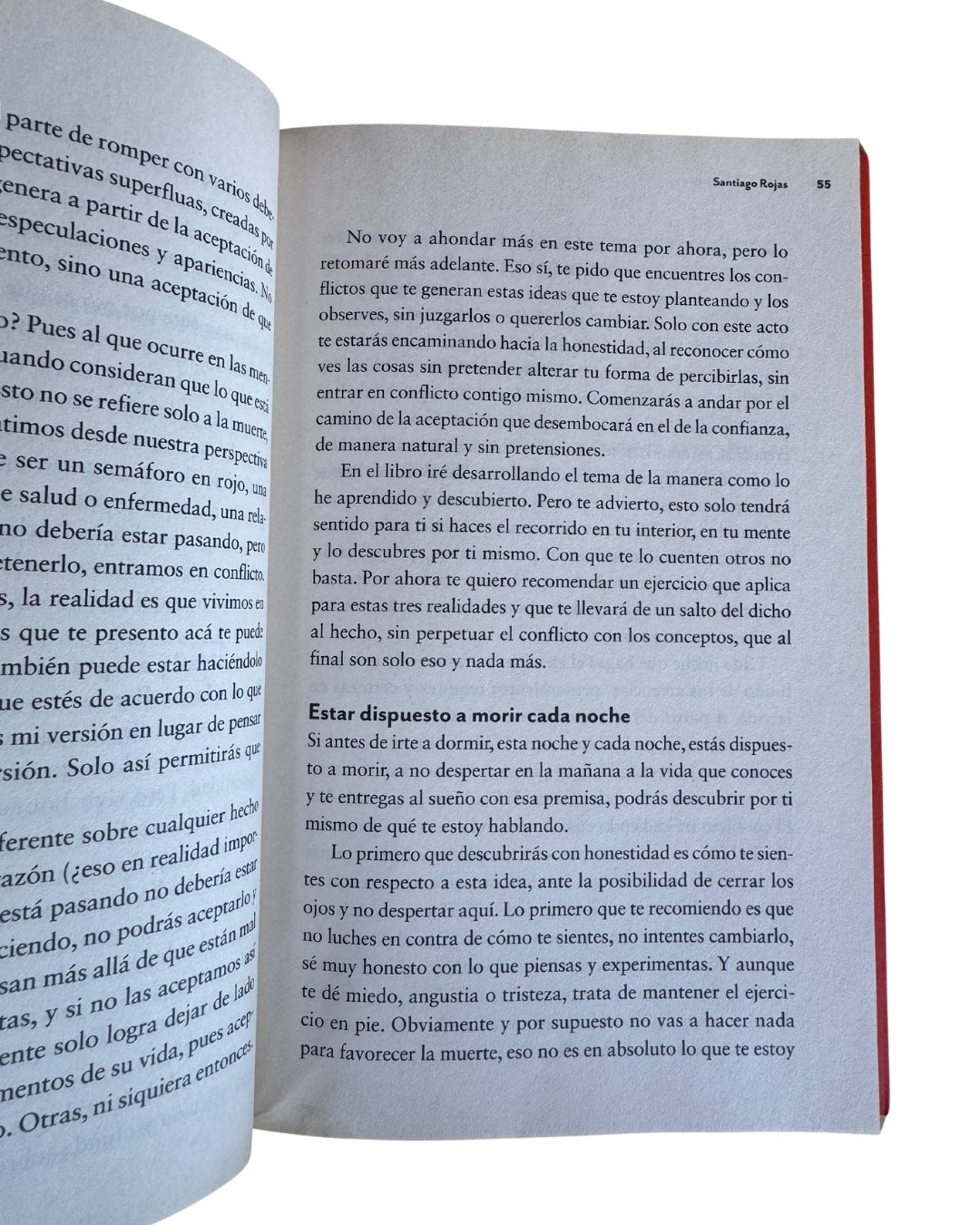 Bienvenida Muerte - Santiago Rojas