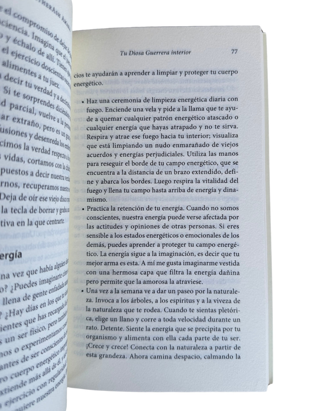 Tu Diosa Guerrera Interior - Heatherash Amara