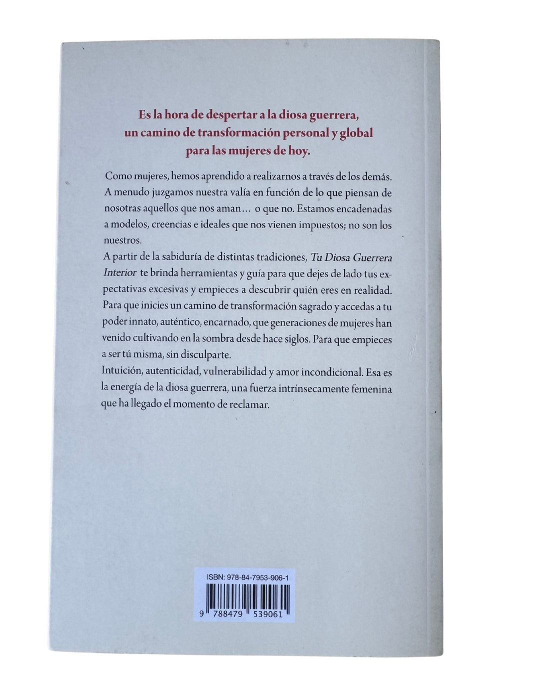 Tu Diosa Guerrera Interior - Heatherash Amara