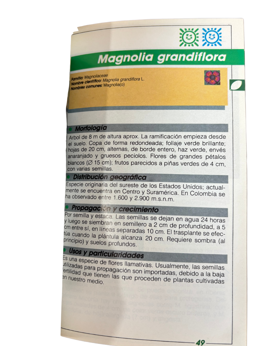 El manto de la Tierra: Flora de los Andes