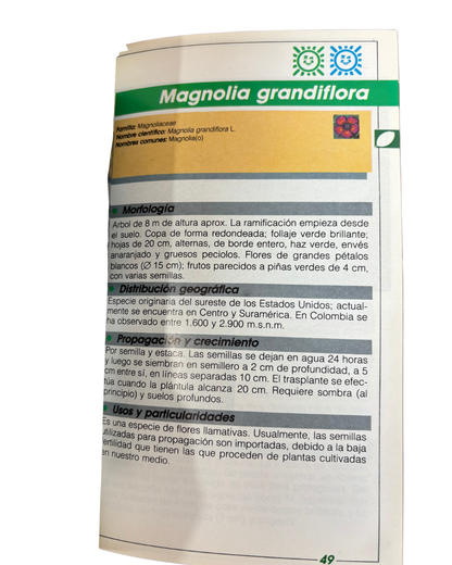 El manto de la Tierra: Flora de los Andes