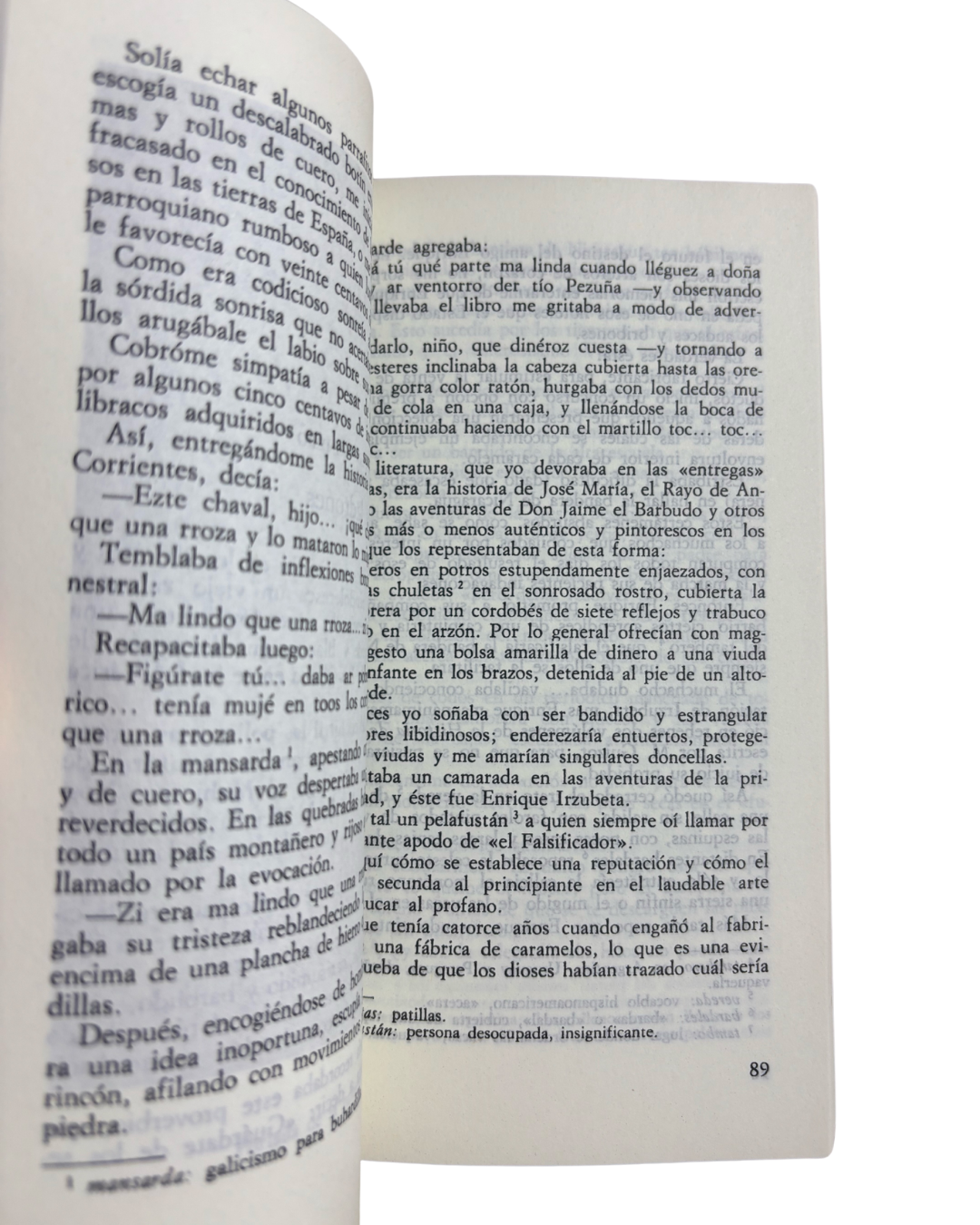 El juguete rabioso - Roberto