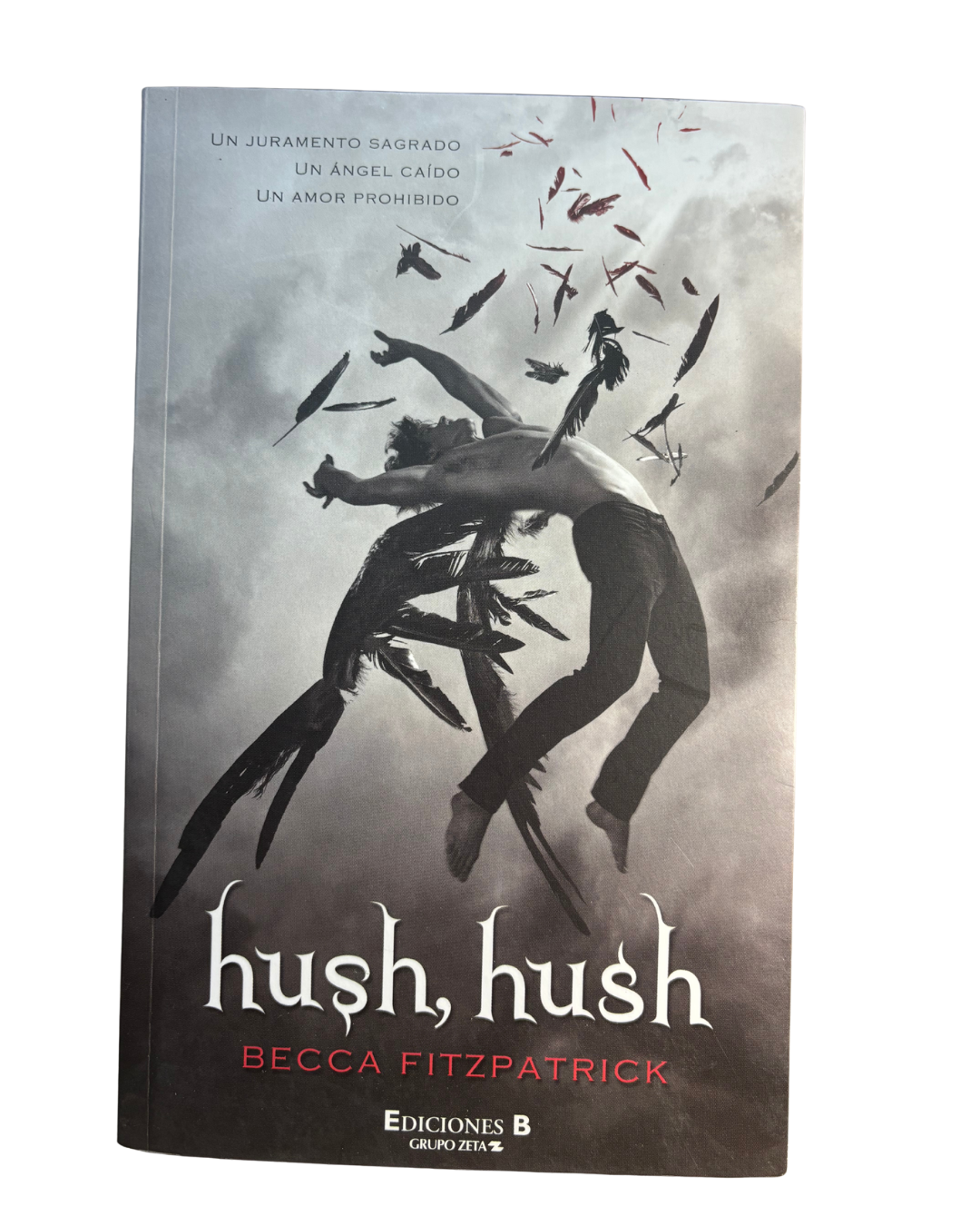 Hush, hush - Becca Fitzpatrick