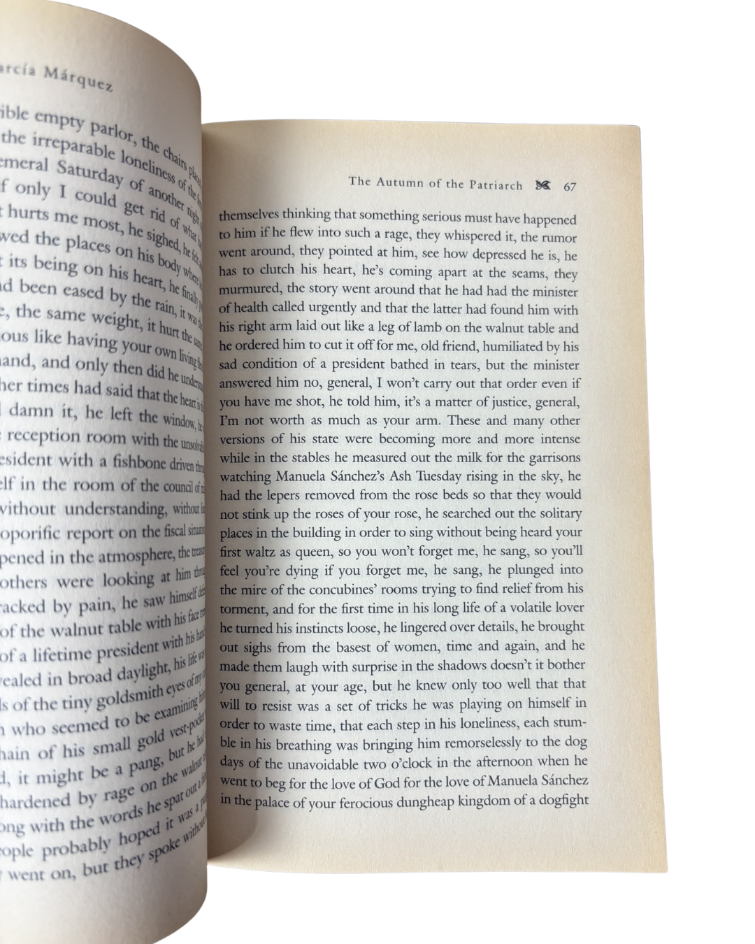 The autumn of the patriarch - Gabriel Garcia Marquez