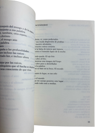 Pista de despegue - Paul Auster