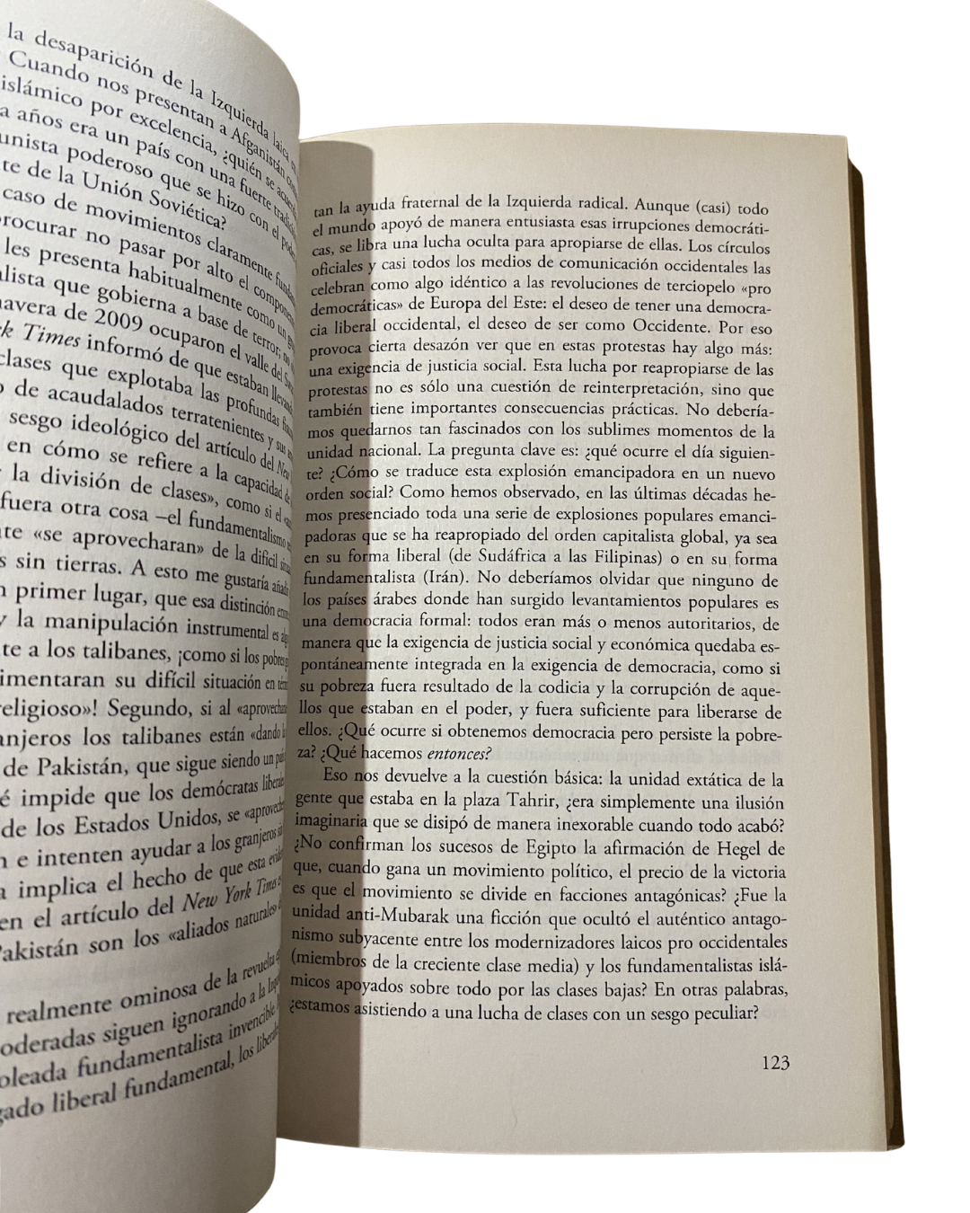 Problemas en el paraíso - Slavoj Zizek