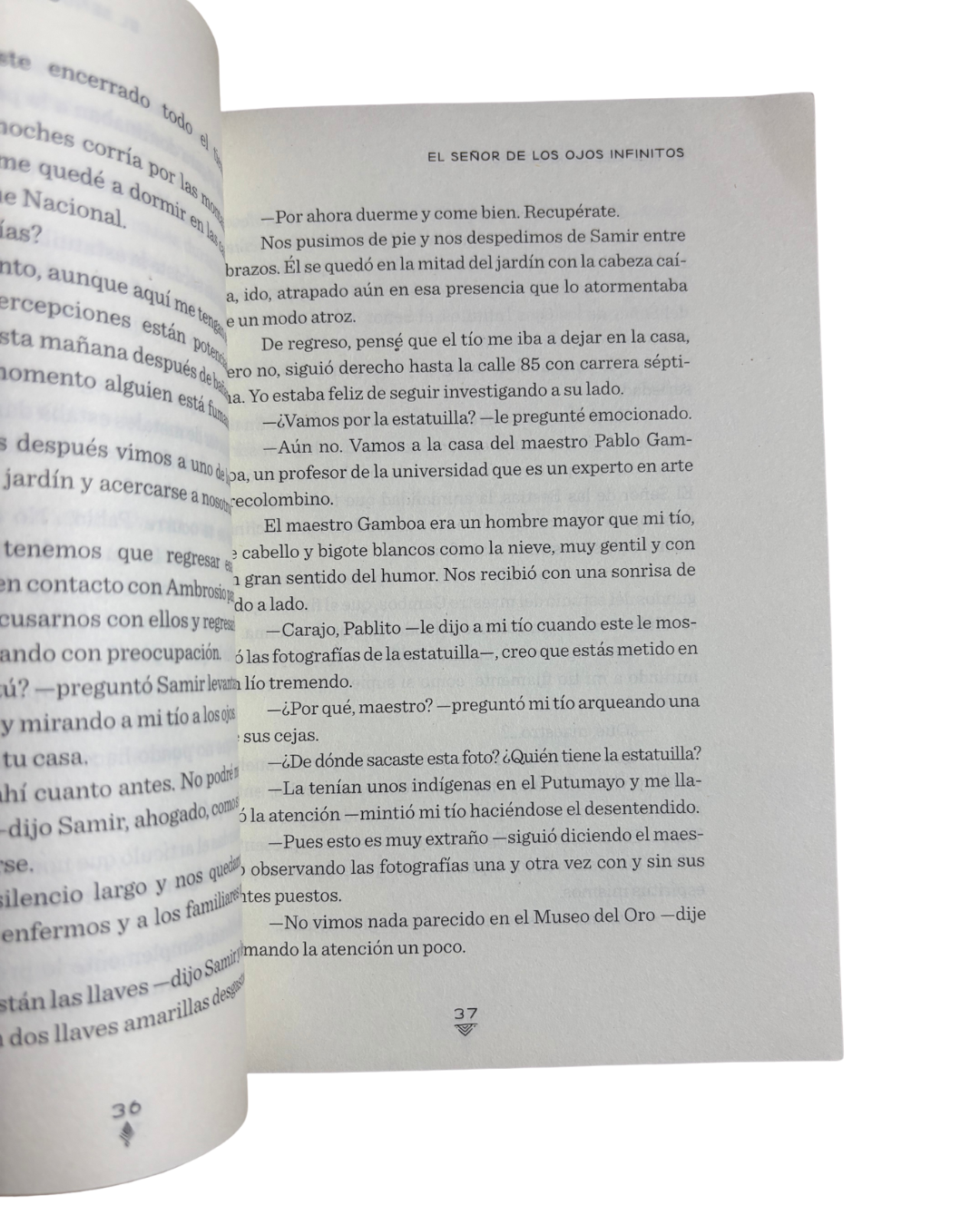 El hijo del carpintero - El mensajero de Agartha