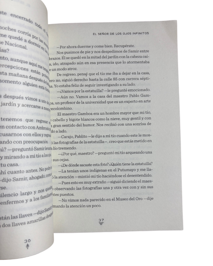 El hijo del carpintero - El mensajero de Agartha