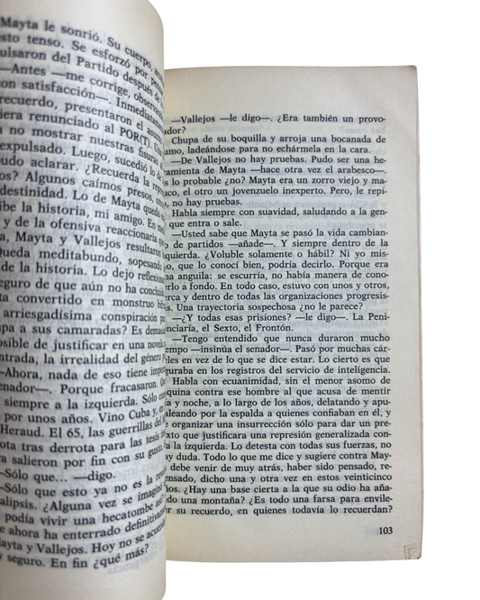Historia de Mayta - Mario Vargas Llosa