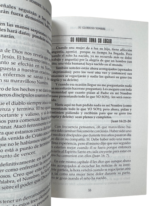 La palabra, el nombre, la sangre - Joyce Meyer