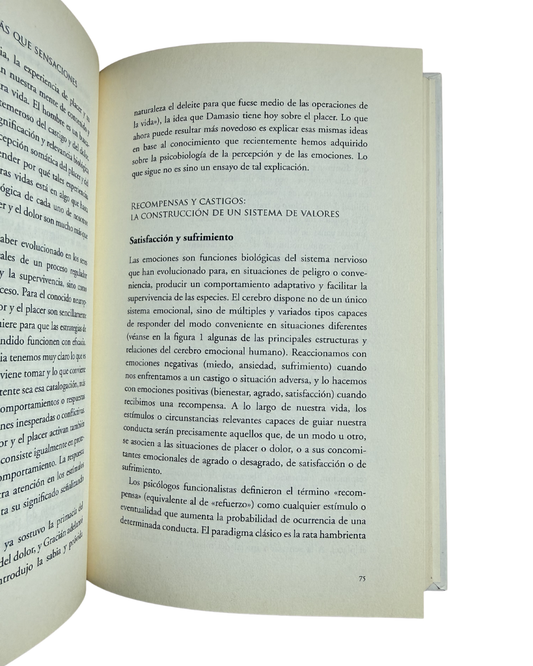 Hombres y mujeres cerebro y educación - María Calvo