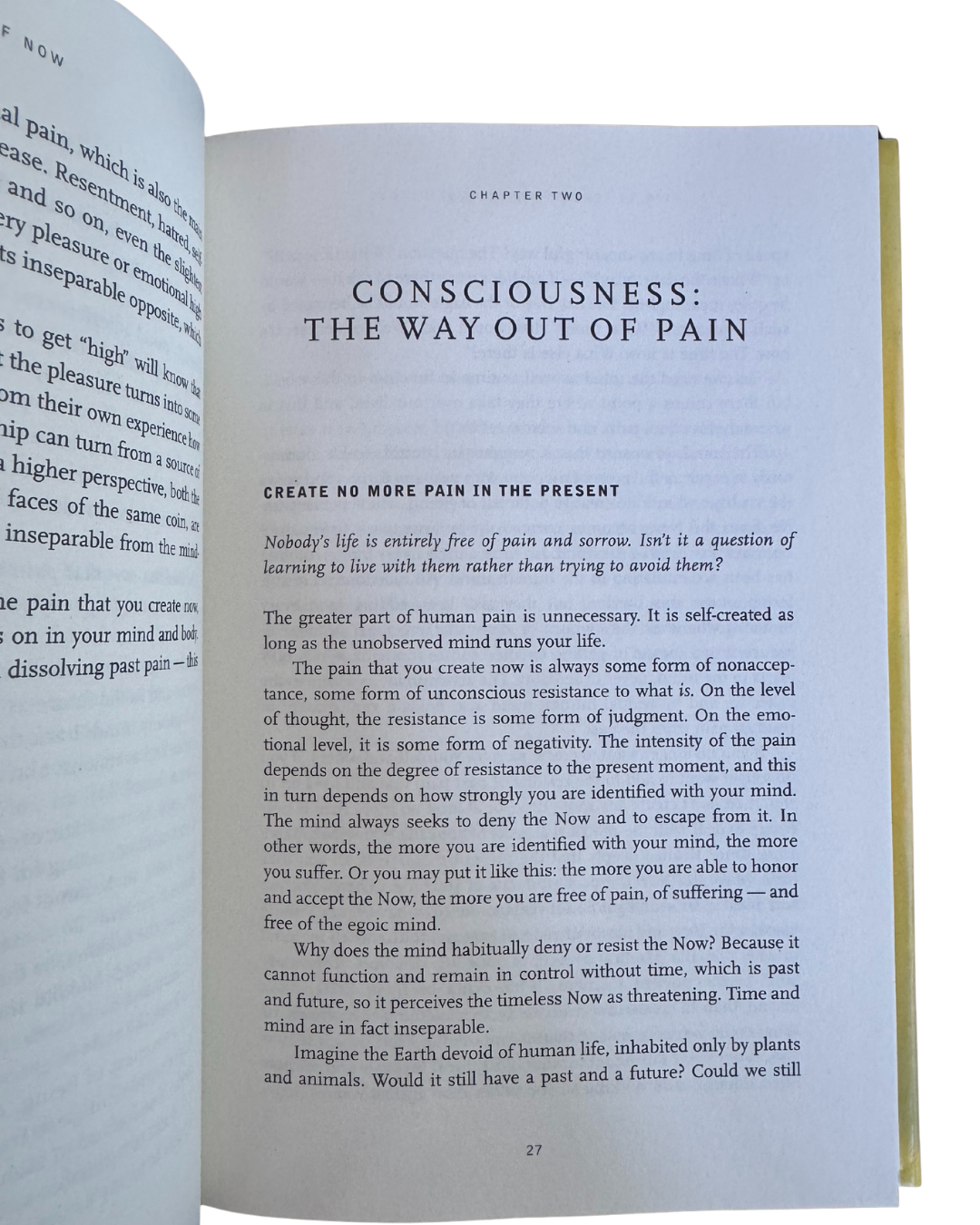 The Power Now - Eckhart Tolle