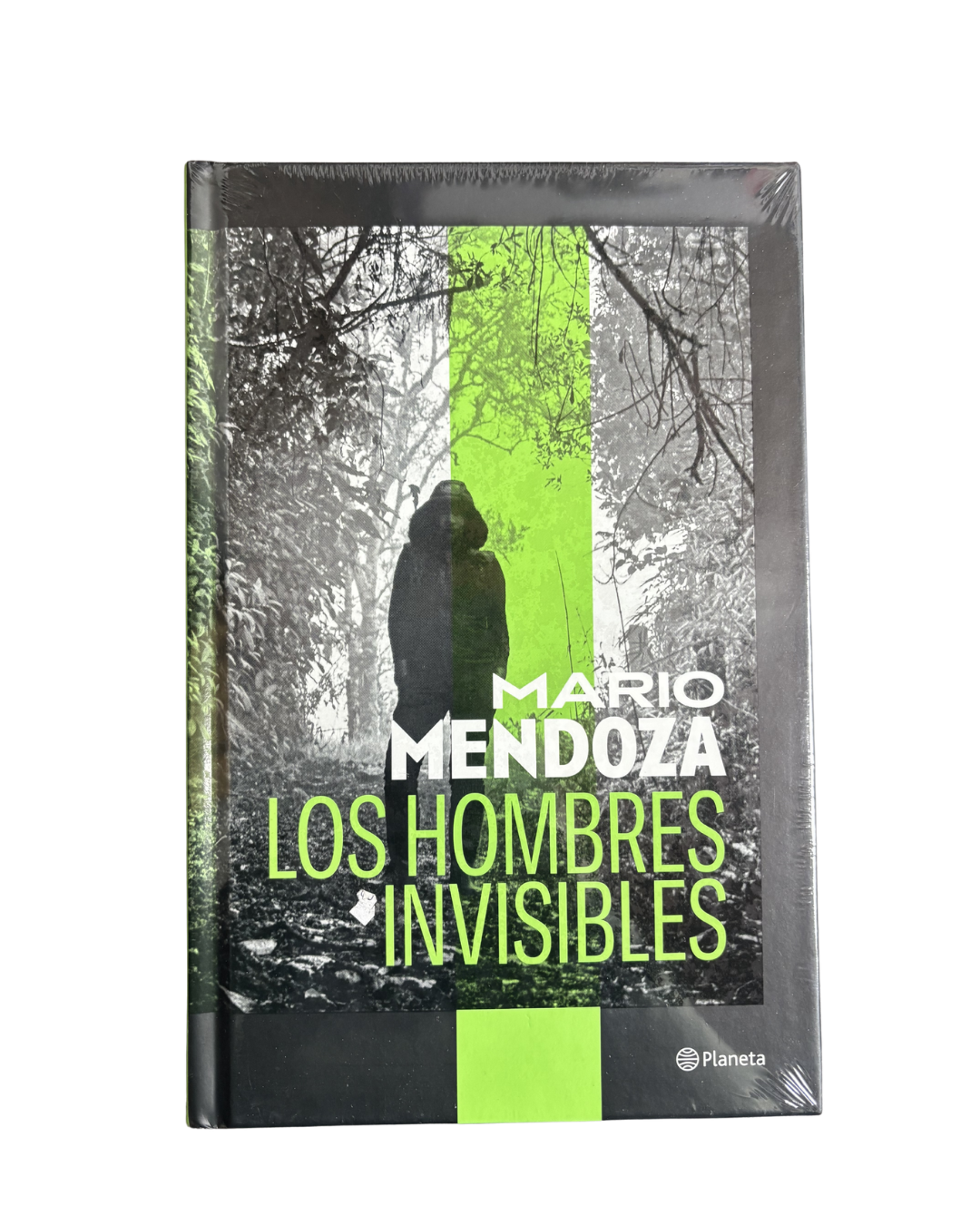 Los hombres invisibles — Mario Mendoza