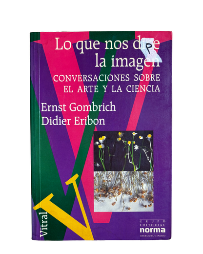 Los que nos dice la imagen - Ernst Gombrich