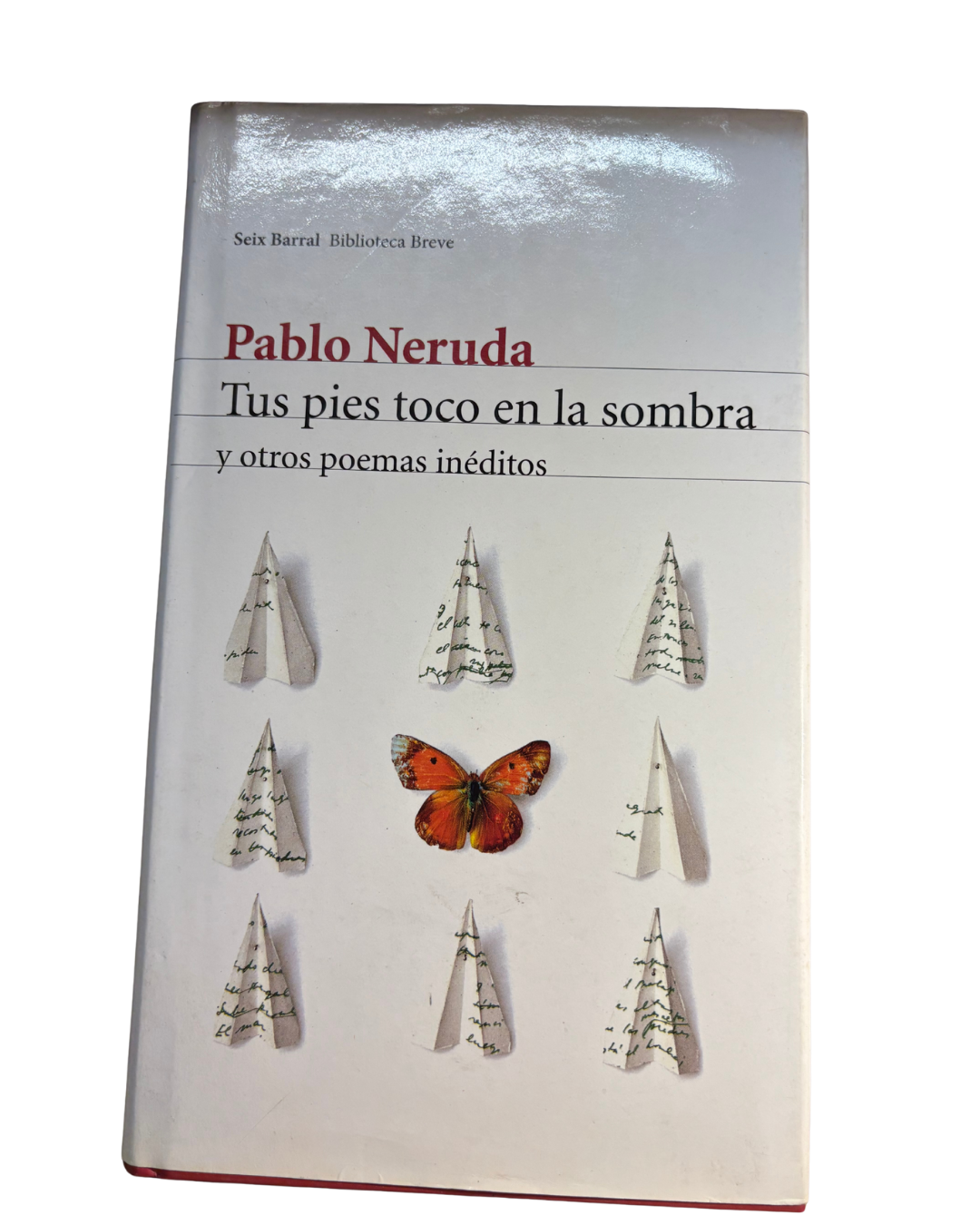 Tus pies toco en la sombra - Pablo Neruda