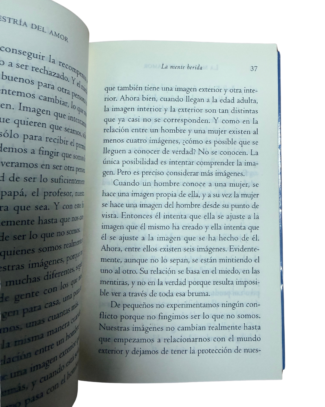La maestría del amor – Dr. Miguel Ruiz