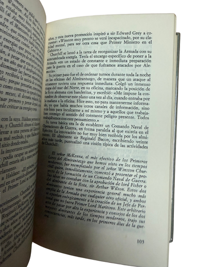 Churchill - Edgar Black sinopsis