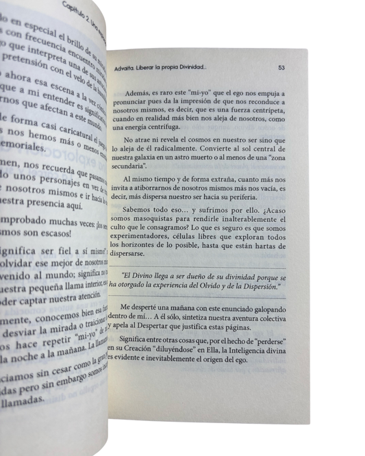 ADVAITA - DANIEL MEUROIS