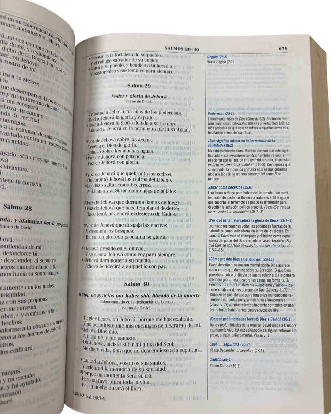 Biblia de Estudio Búsqueda