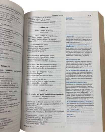 Biblia de Estudio Búsqueda