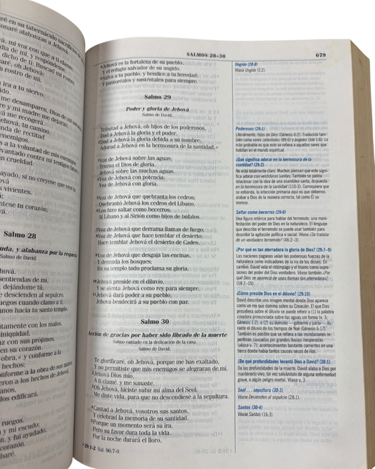 Biblia de Estudio Búsqueda