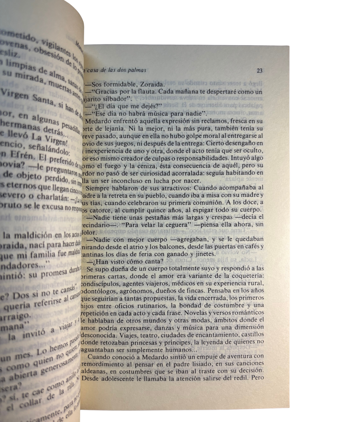 La casa de las dos palmas - Manuel Mejia Vallejo