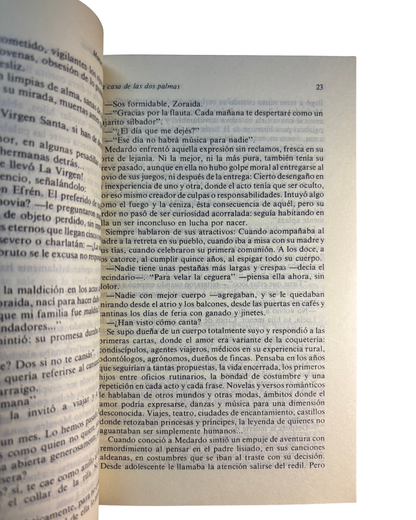 La casa de las dos palmas - Manuel Mejia Vallejo