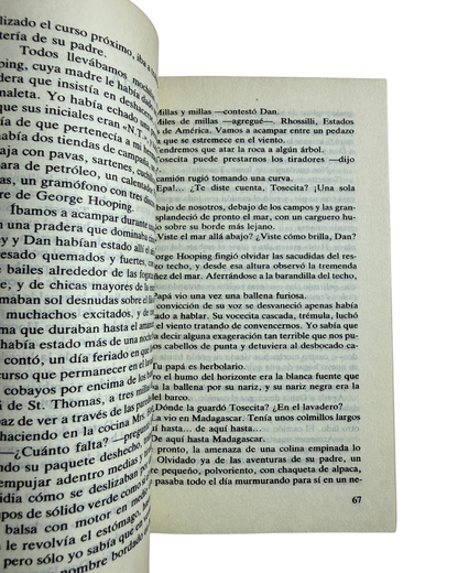 Retrato del artista cachorro - Dylan Thomas